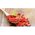 Goji Berry mit wenig Feuchtigkeit